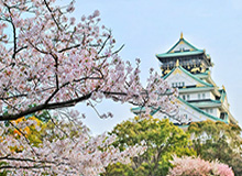 热内西奥：国安板凳深度足够轮换 金玟哉已合练
